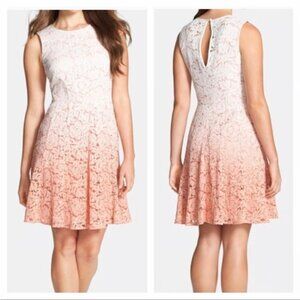 Trina Turk Carpenteria Ombre Lace Sleeveless Dress Size 14 NWT